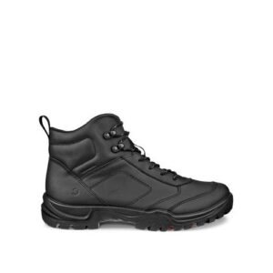 ECCO Expedition ||| M