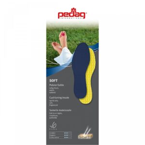 Pedag Soft