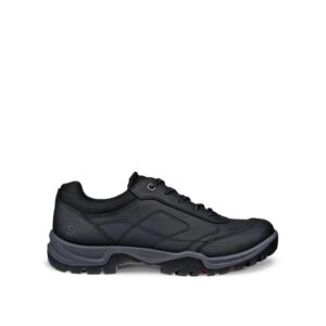 ECCO Expedition |||