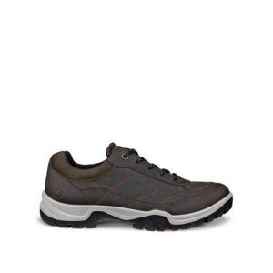ECCO Expedition |||
