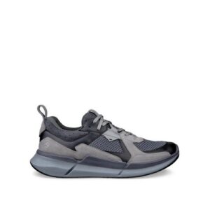 ECCO Biom 2.2