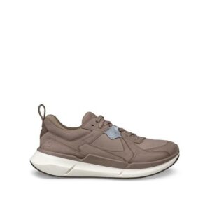 ECCO Biom 2.2